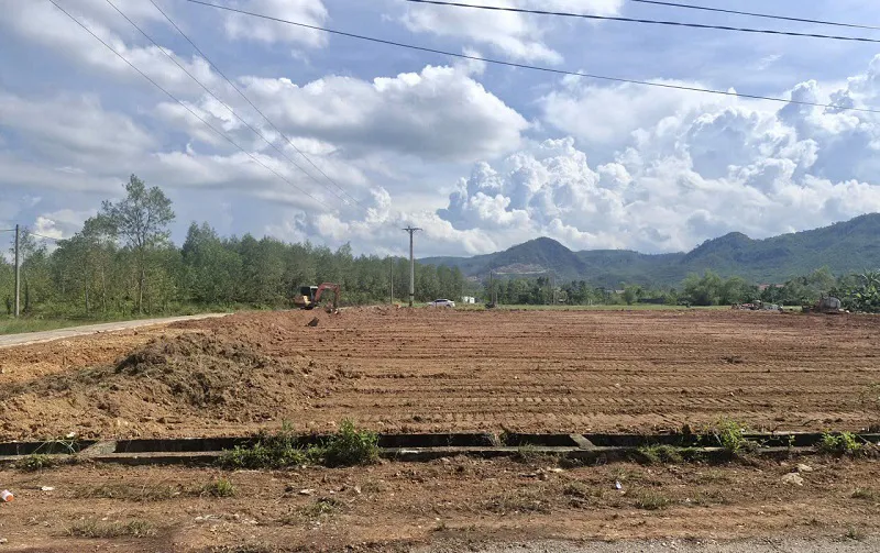 Hình ảnh 5