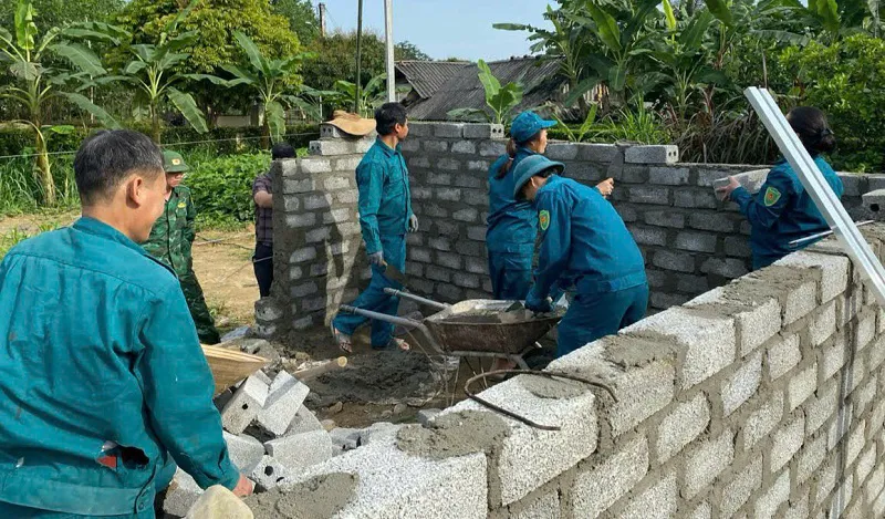 Hình ảnh 6