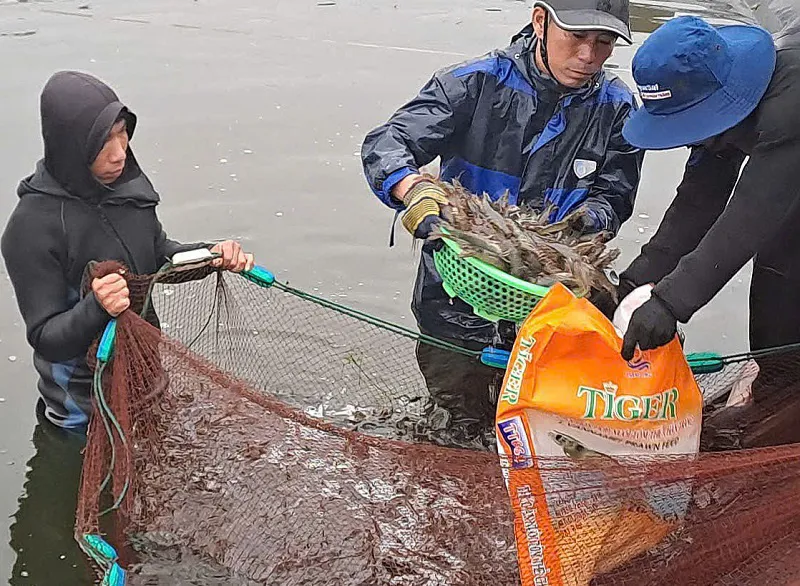 Hà Tĩnh: sản lượng thủy sản ước đạt gần 63.000 tấn