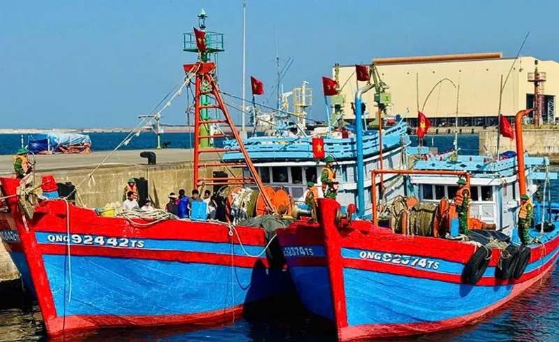 Hình ảnh 1