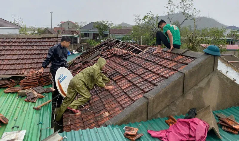 Hình ảnh 2