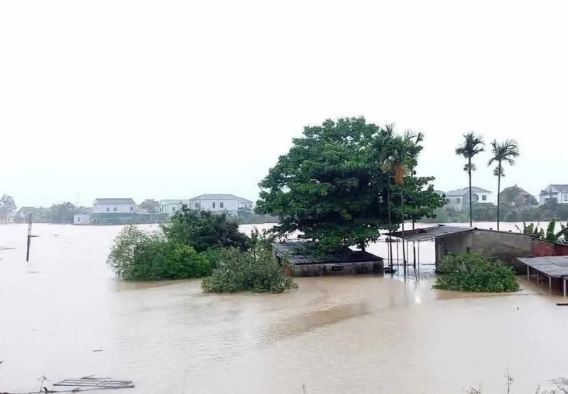 Hình ảnh 7