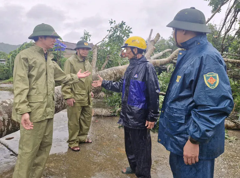 Hình ảnh 3