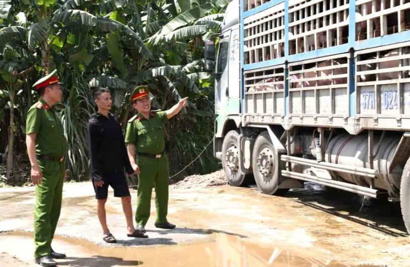 Hình ảnh 1