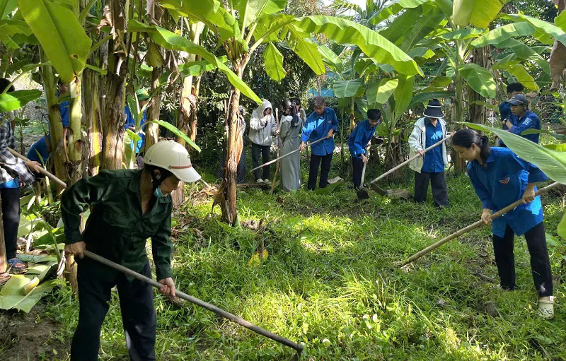 Hình ảnh 2