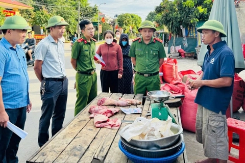 Hà Tĩnh: chủ động kiểm soát, phòng, chống dịch tả lợn châu Phi