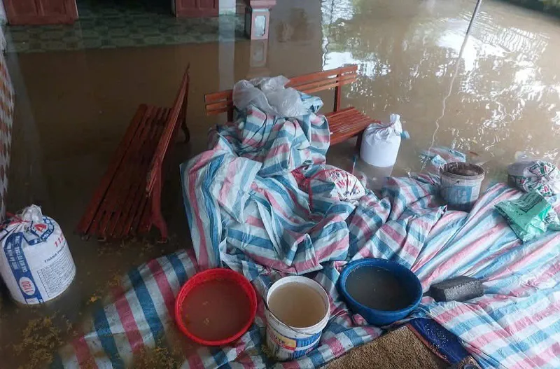 Hình ảnh 3