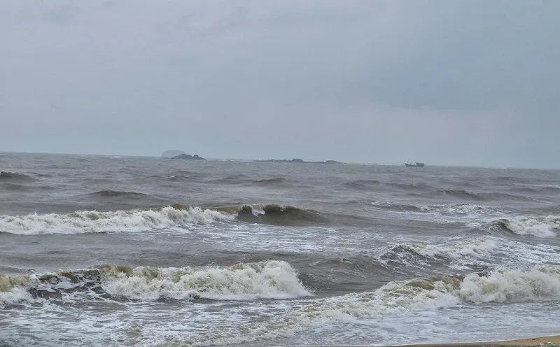 Hình ảnh 3