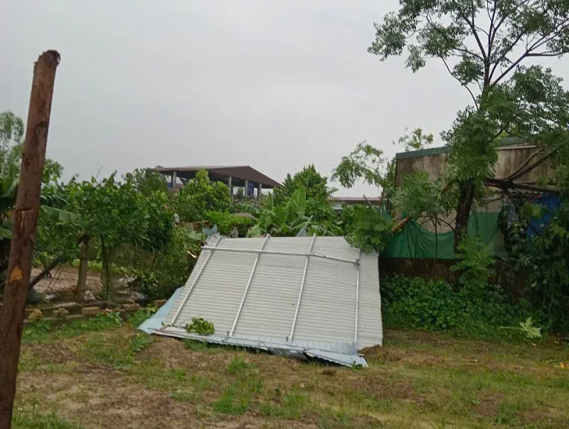 Hình ảnh 4
