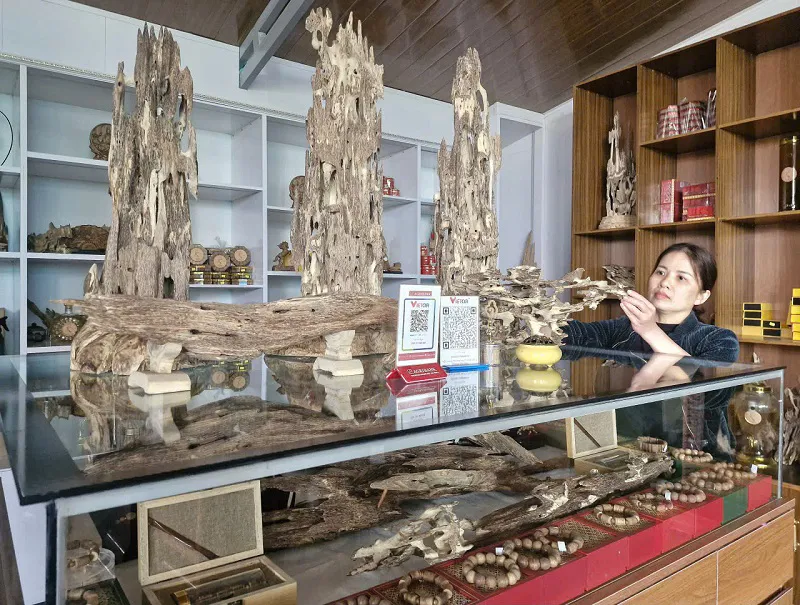 Hà Tĩnh: làng nghề sản xuất hương trầm rộn ràng dịp cuối năm