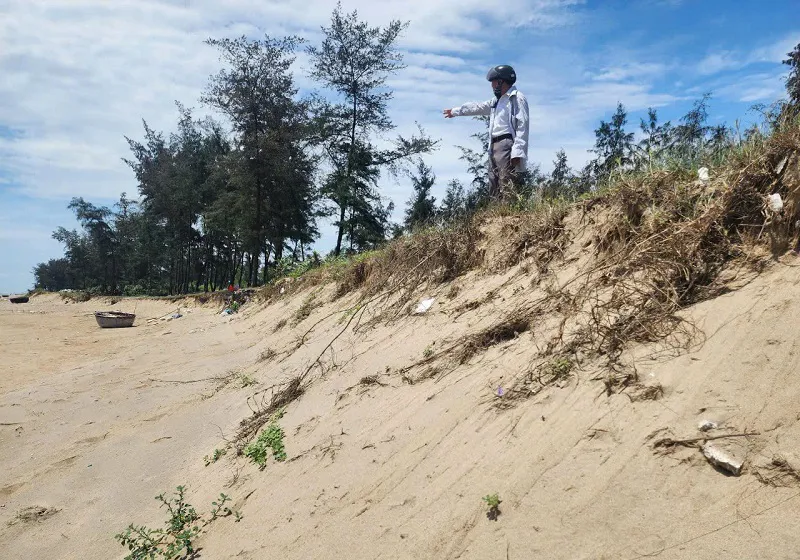 Hình ảnh 1