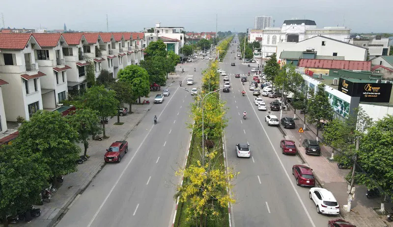 Hình ảnh 1