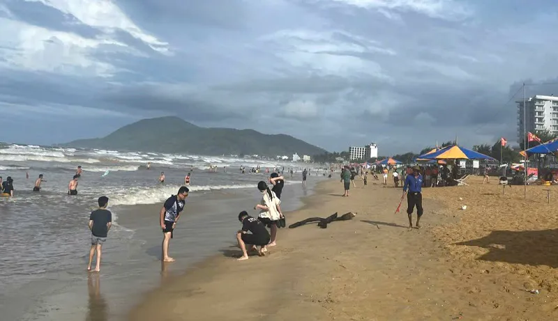Hình ảnh 5