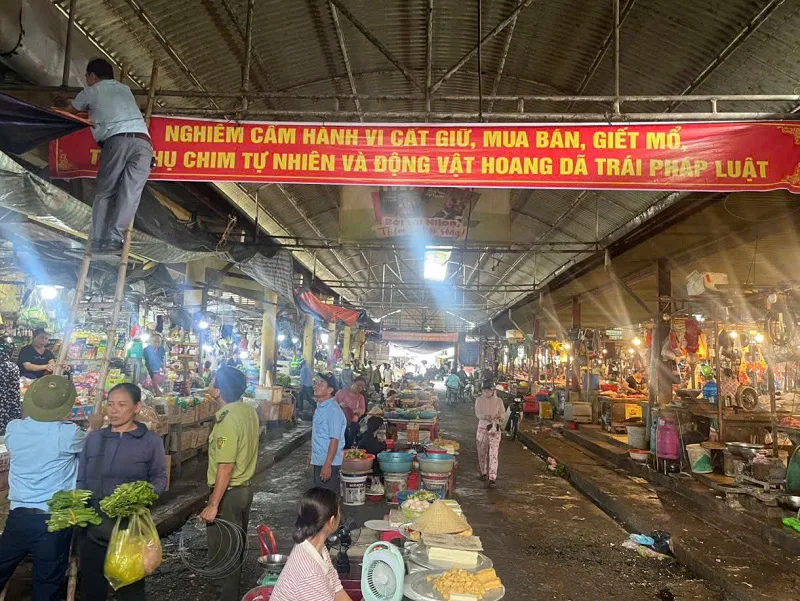 Hình ảnh 9