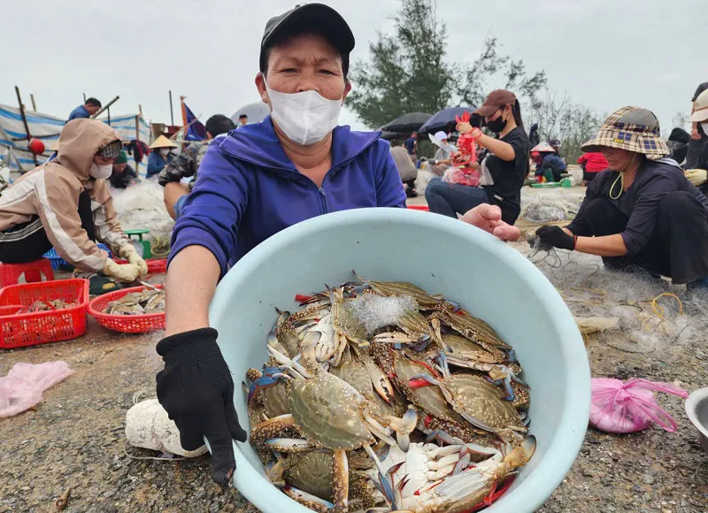 Hà Tĩnh: ngư dân trúng đậm ghẹ biển