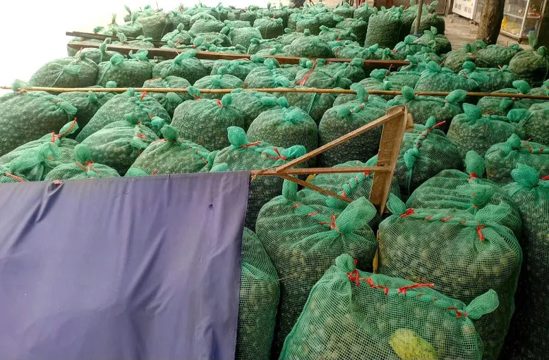 Hình ảnh 3