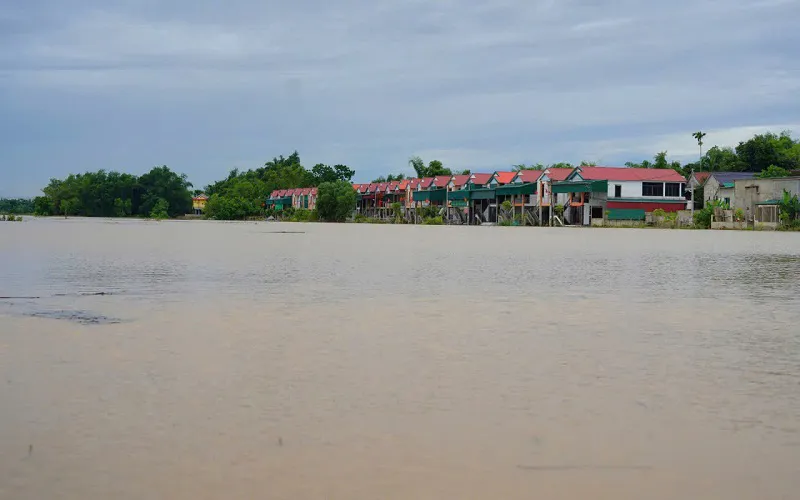 Hình ảnh 6