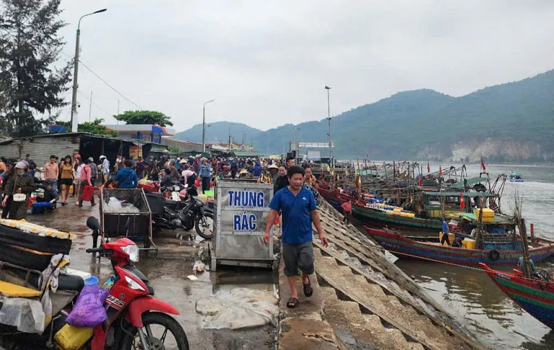 Hình ảnh 4