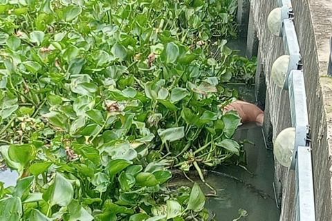 TP Hồ Chí Minh: phát hiện thi thể nam giới trôi trên sông Sài Gòn