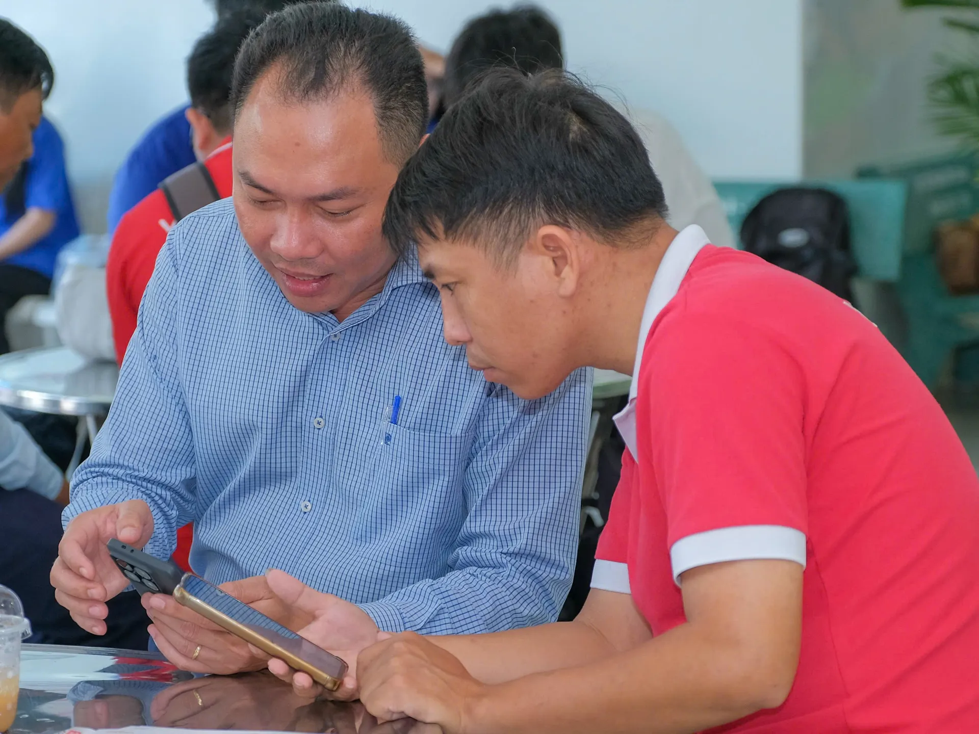 Hình ảnh 5