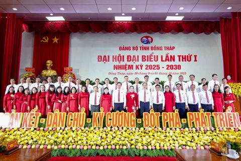 Đồng Tháp: đột phá từ nông nghiệp, khẳng định khát vọng bứt phá