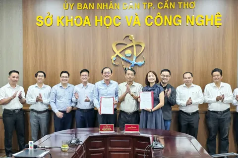 Cần Thơ: quyết liệt chuyển đổi số phục vụ phát triển kinh tế - xã hội