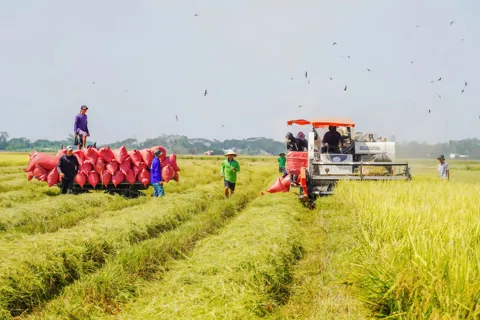 Cần Thơ: ký kết hợp tác phát triển mô hình nông nghiệp hữu cơ thông minh 
