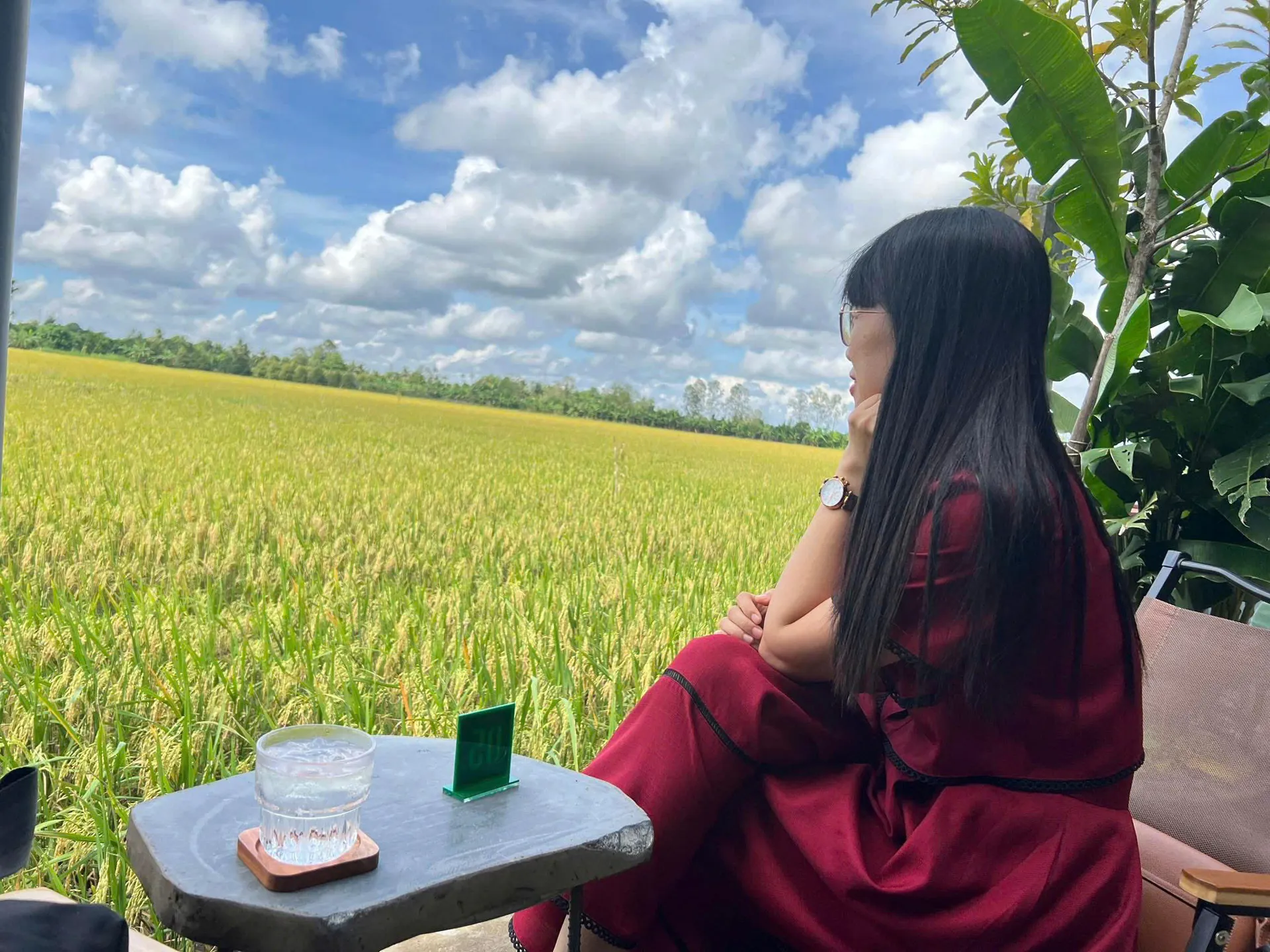 Quán cà phê giữa cánh đồng lúa - nơi "chữa lành" của giới trẻ Cần Thơ