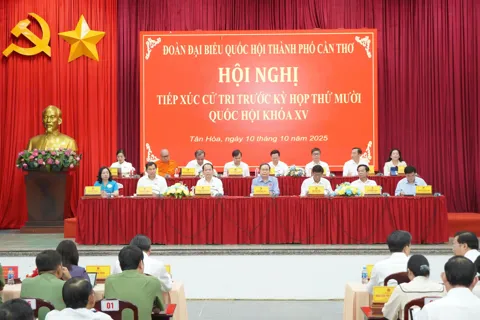 Cần Thơ phải kêu gọi các nhà đầu tư lớn, các “đại bàng” về đầu tư