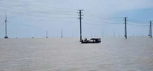 Hình ảnh 2