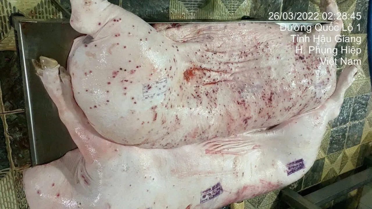 Hình ảnh 1
