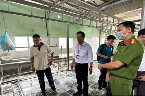  Hình ảnh chụp heo bệnh là thật, nhưng có thể chụp để báo cáo tiêu hủy?