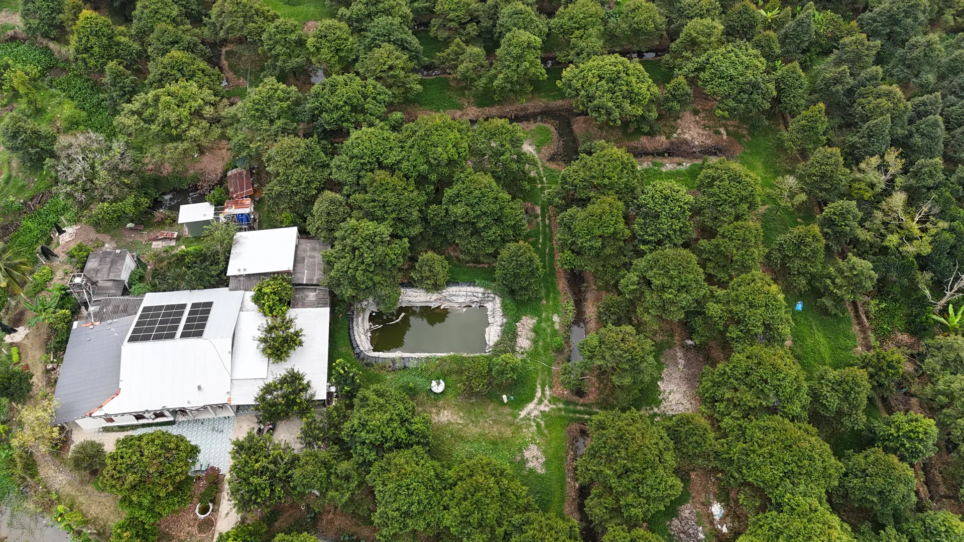 Vĩnh Long chủ động xây dựng các giải pháp ứng phó hạn, mặn