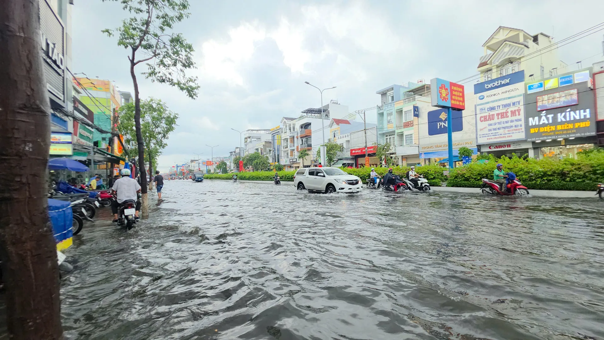 Hình ảnh 3