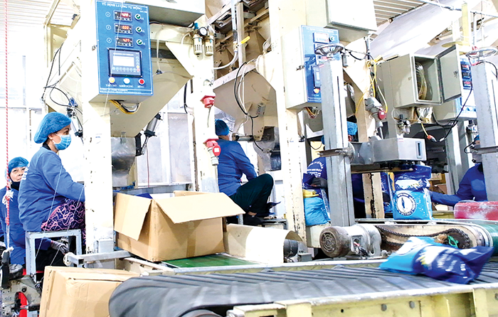 Cần Thơ ra quân Tổng điều tra kinh tế năm 2026