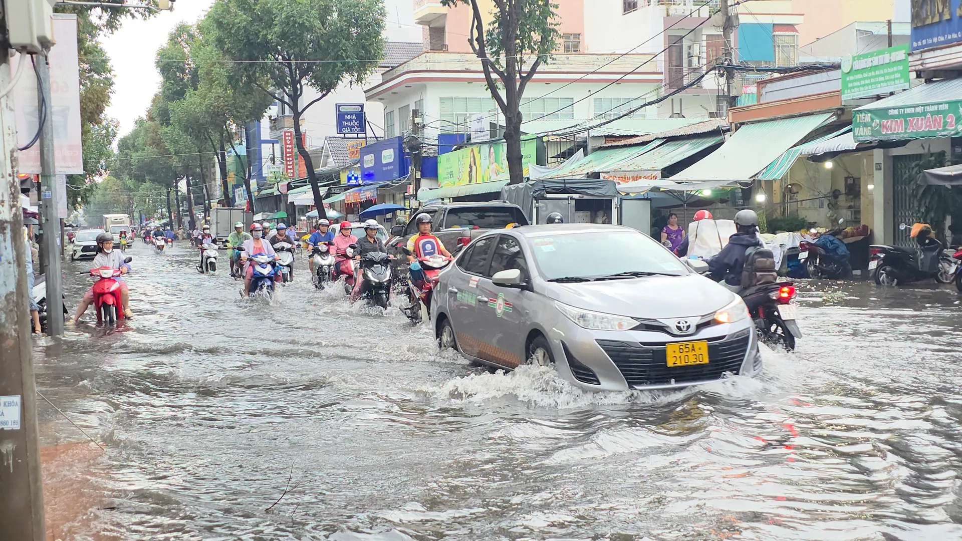 Hình ảnh 5