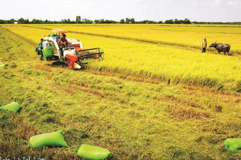 Vĩnh Long: xây dựng nền nông nghiệp thông minh, hiện đại 