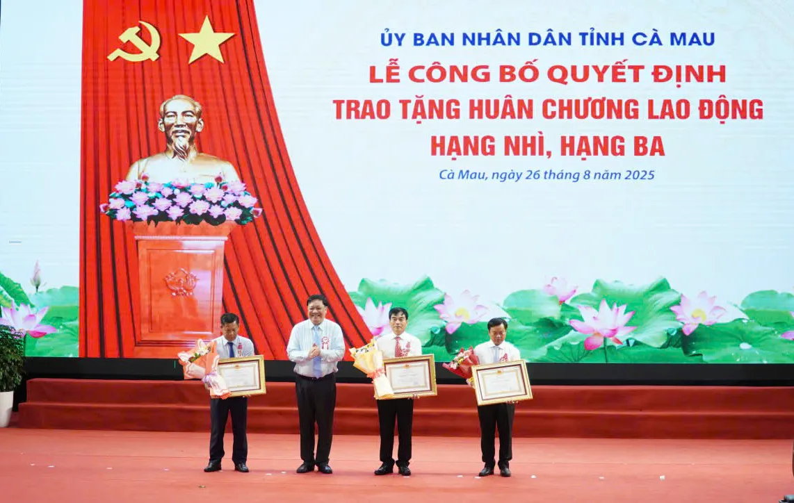 Hình ảnh 3