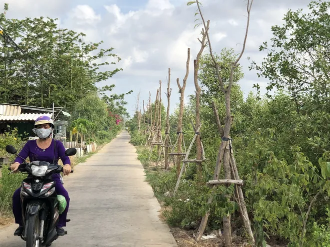 Bộ Công an yêu cầu Bạc Liêu cung cấp hồ sơ dự án cây xanh, chỉnh trang đô thị