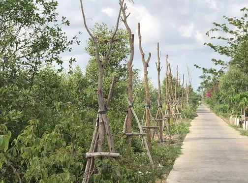 Hình ảnh 1