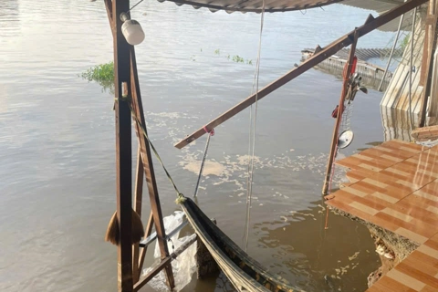 Cà Mau hỏa tốc ứng phó sạt lở, sụt lún bất thường