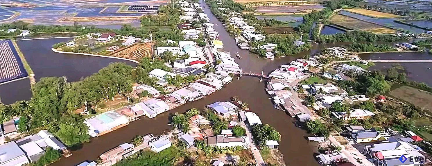 Cà Mau: Xuân về trên đất phèn Ninh Thạnh Lợi