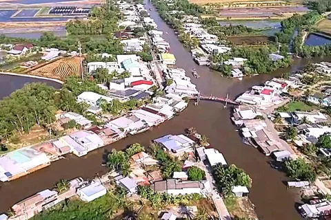 Cà Mau: Xuân về trên đất phèn Ninh Thạnh Lợi 