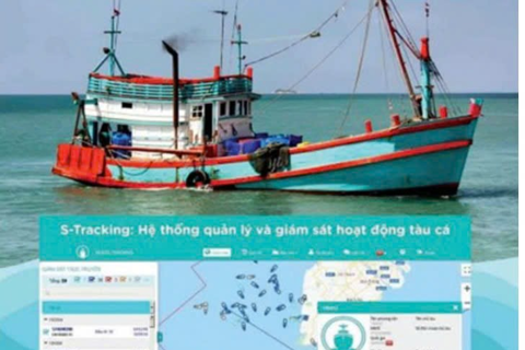 Cà Mau siết chặt quản lý đội tàu, nguồn gốc thủy sản trong tháng cao điểm chống khai thác IUU