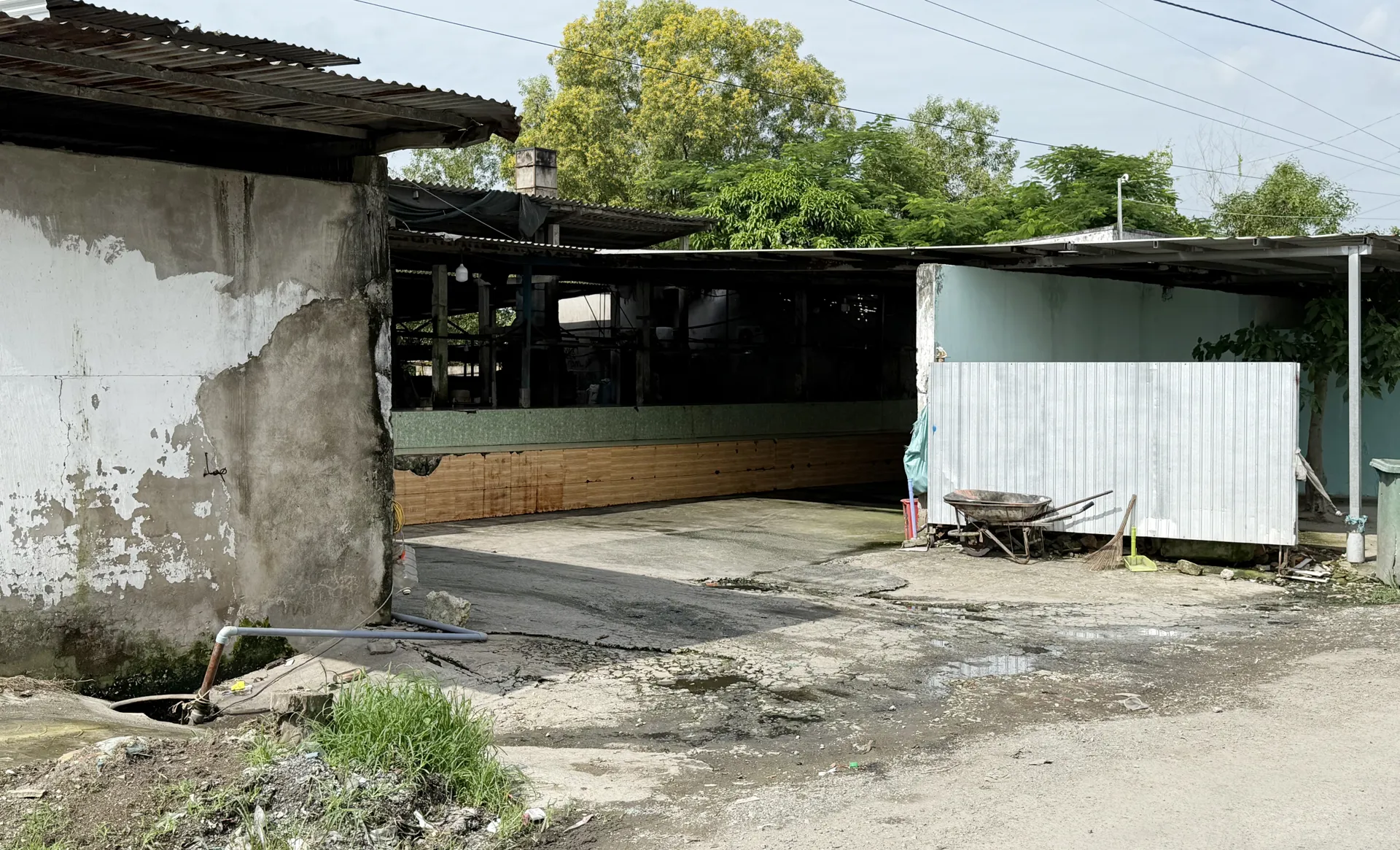 Cà Mau: rùng mình với vị trí “đắc địa” của lò mổ gia súc