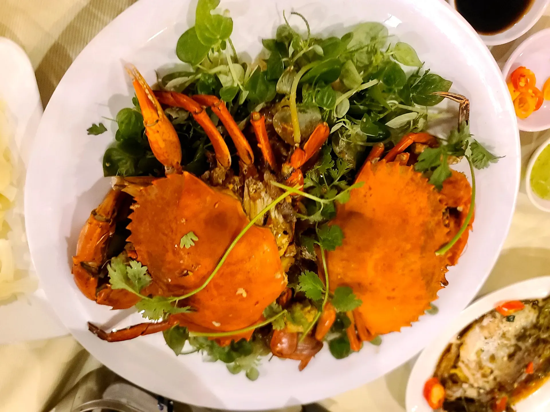 Hình ảnh 2