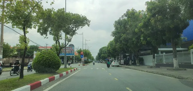 Hình ảnh 2