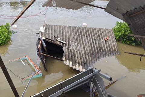 Sạt lở sông ngòi bất thường ở Cà Mau