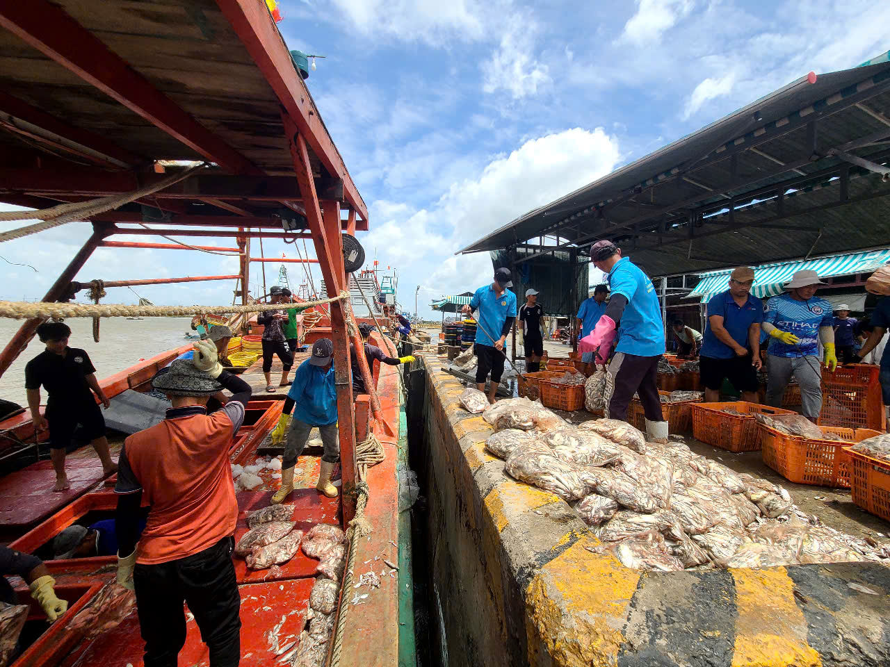 Cà Mau: quyết liệt từng ngày, từng giờ gỡ thẻ vàng IUU