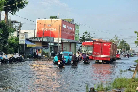 Cà Mau: cảnh báo, đối phó ngập lụt do triều cường
